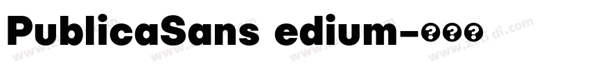 PublicaSans edium字体转换